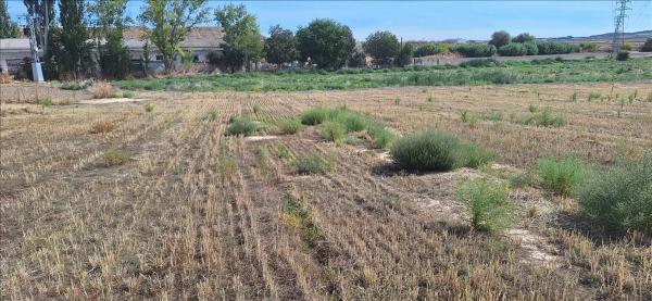 Terreno en camino de los Yeseros