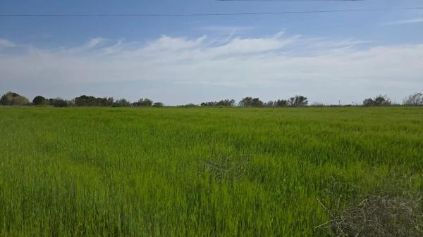 Terreno en pasaje del convento