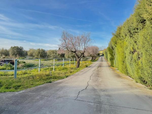 Terreno en camino de Torrejón de Velasco a Valdemoro, 21