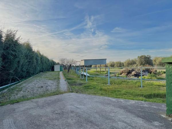 Terreno en camino de Torrejón de Velasco a Valdemoro, 21