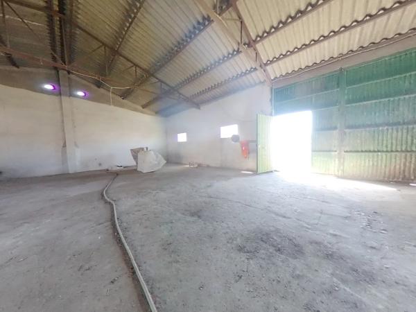 Terreno en calle Alameda, 5