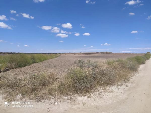 Terreno en camino Esquivias s/n