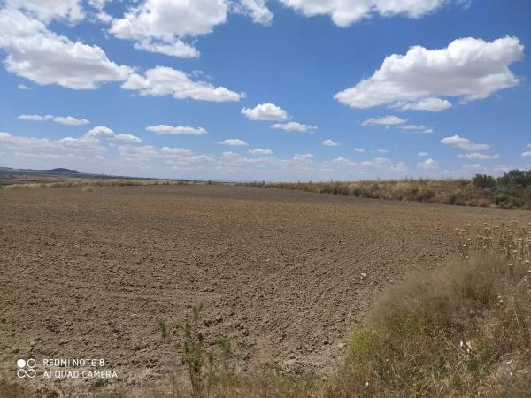 Terreno en camino Esquivias s/n