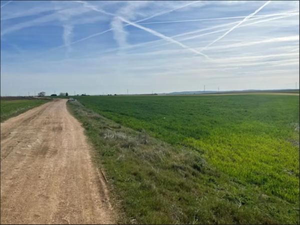 Terreno en Poligono 005, 44