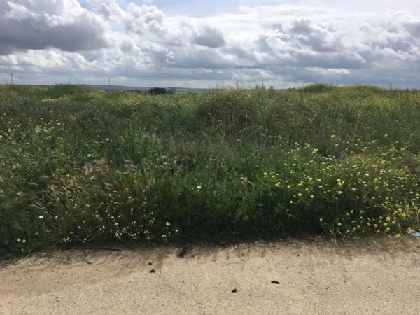 Terreno en camino de Santa Juana s/n