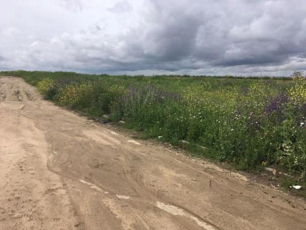 Terreno en camino de Santa Juana s/n