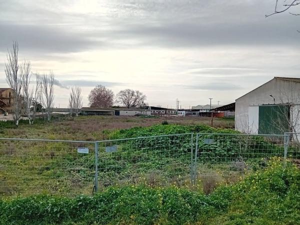 Terreno en calle Miguel delibes s/n