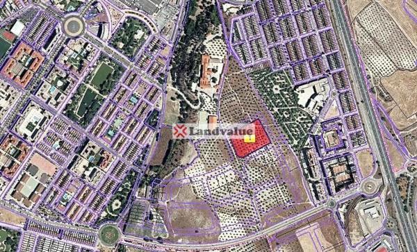 Terreno en calle a Pozo San Pedro