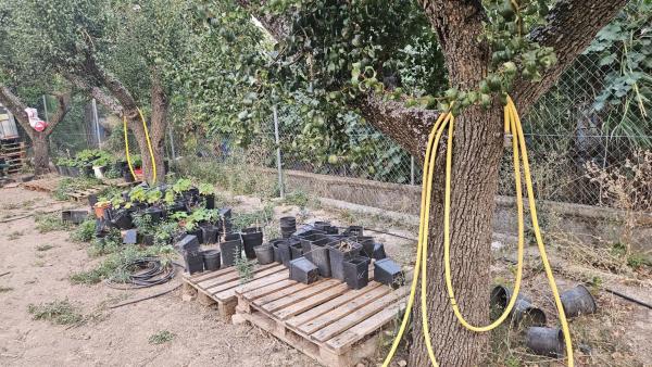 Terreno en camino de la Estrella S/n, 2