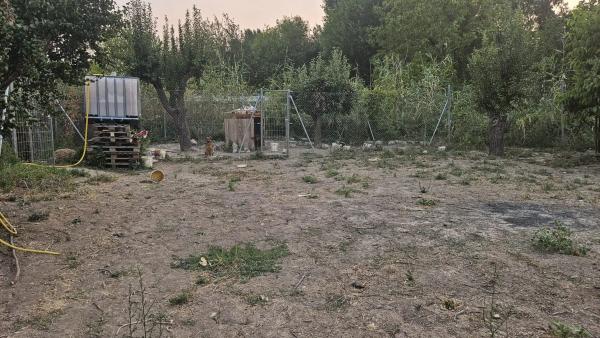 Terreno en camino de la Estrella S/n, 2