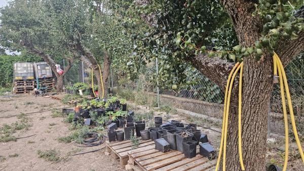 Terreno en camino de la Estrella S/n, 2