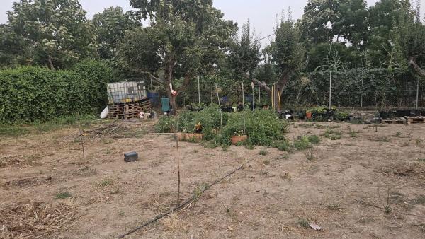 Terreno en camino de la Estrella S/n, 2