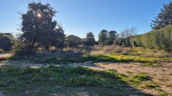 Terreno en ronda Hispano-Americana, 227