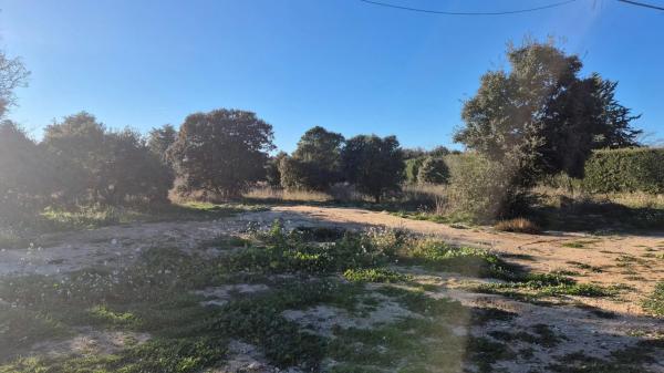 Terreno en ronda Hispano-Americana, 227