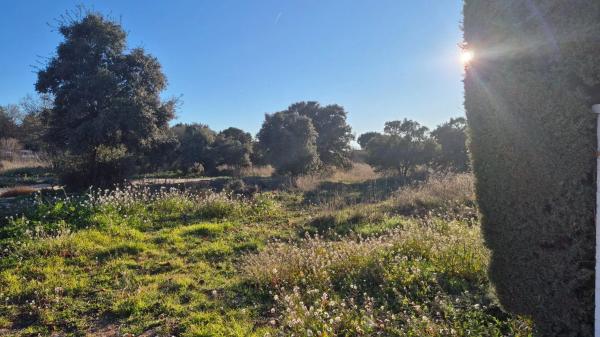 Terreno en ronda Hispano-Americana, 227