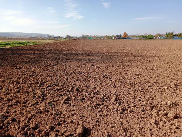 Terreno en via Sin Nombre, km 13