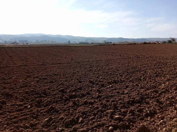 Terreno en via Sin Nombre, km 13