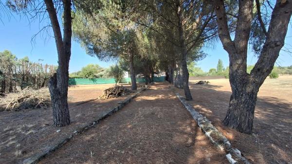 Terreno en calle Ventitrés, 44