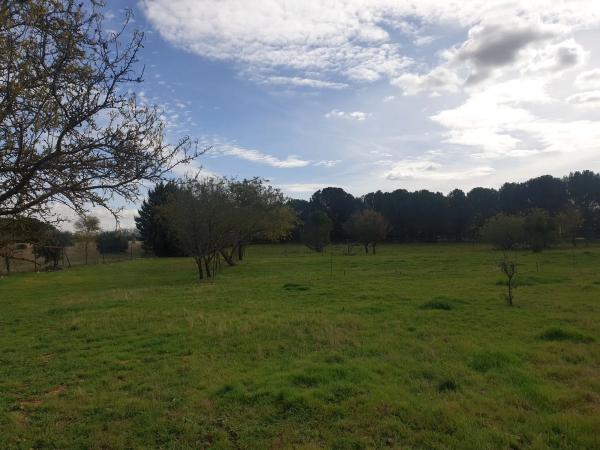 Terreno en calle Ventitrés, 44