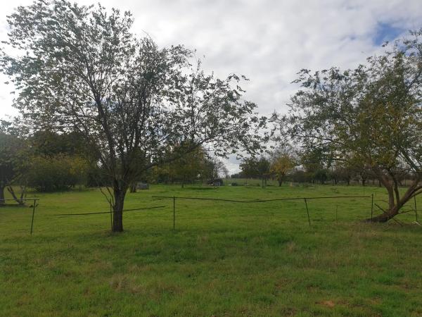 Terreno en calle Ventitrés, 44