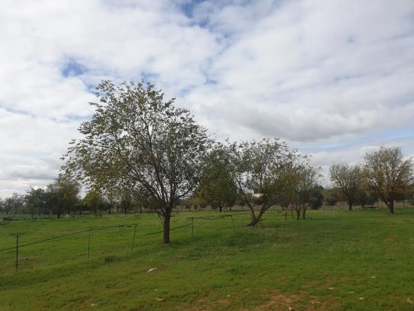 Terreno en calle Ventitrés, 44