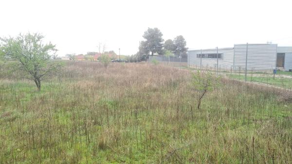 Terreno en calle Catorce