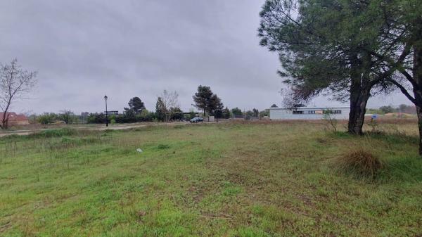Terreno en calle Catorce