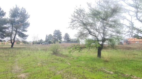 Terreno en calle Catorce