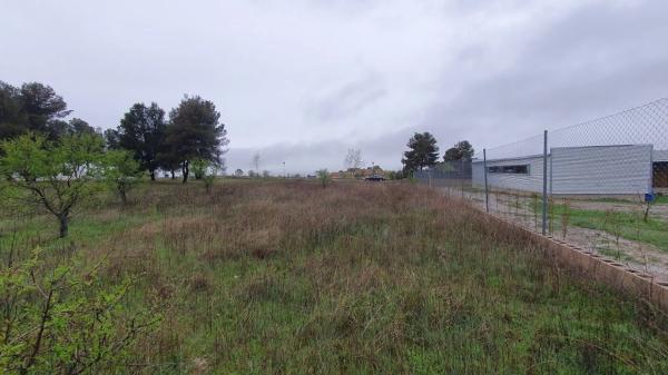 Terreno en calle Catorce