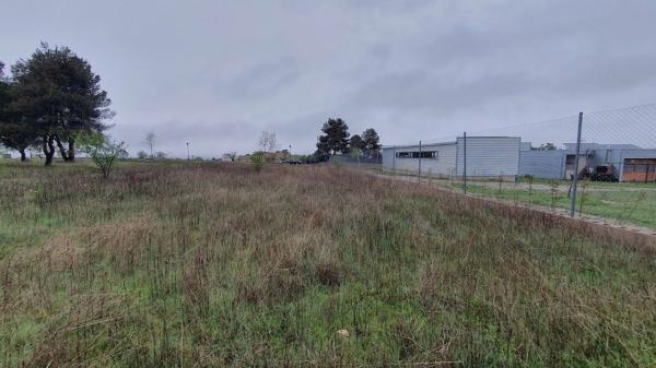 Terreno en calle Catorce