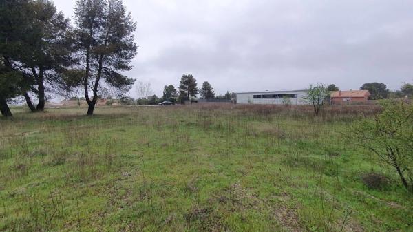 Terreno en calle Catorce