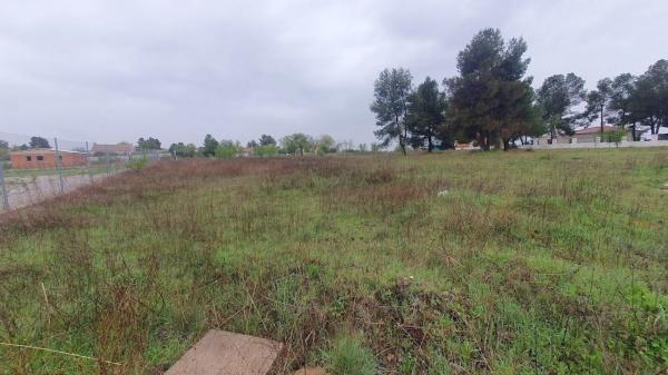 Terreno en calle Catorce