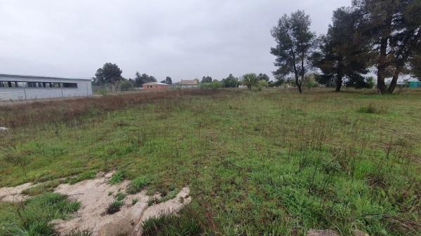 Terreno en calle Catorce