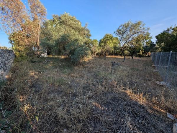 Terreno en rotonda Westfalia, 70