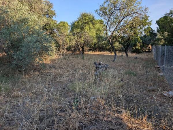 Terreno en rotonda Westfalia, 70
