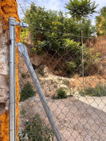 Terreno en calle Alamillo, 29