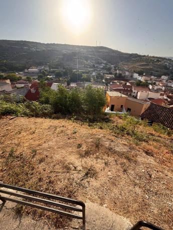 Terreno en calle Alamillo, 29