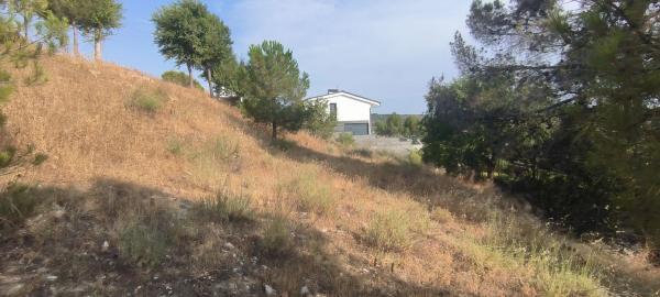 Terreno en avenida de la Virreina, 24