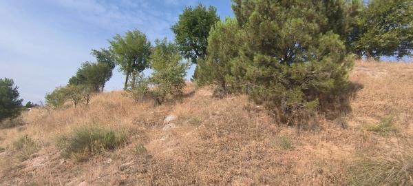 Terreno en avenida de la Virreina, 24