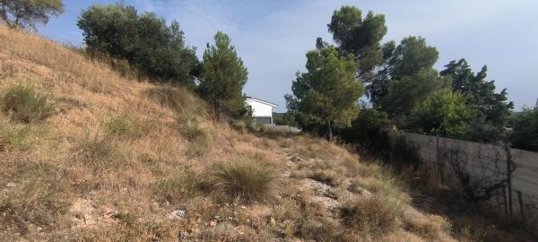 Terreno en avenida de la Virreina, 24