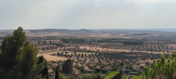 Terreno en avenida de la Virreina, 24