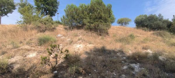 Terreno en avenida de la Virreina, 24