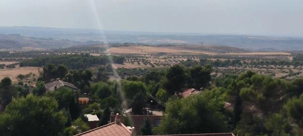 Terreno en avenida de la Virreina, 24
