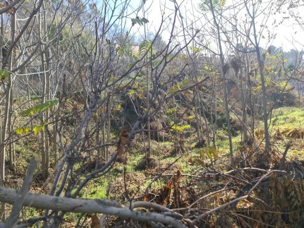 Terreno en carretera de Valdelaguna, 14 -42