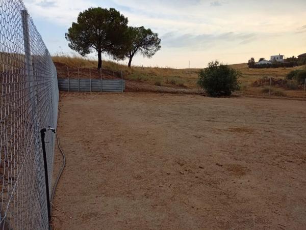 Terreno en calle Gallo, 745