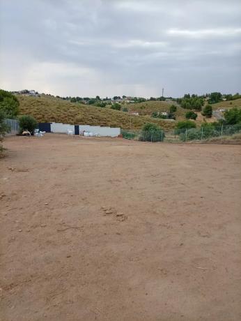 Terreno en calle Gallo, 745