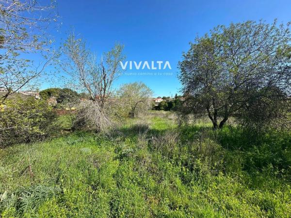 Terreno en calle Sevilla