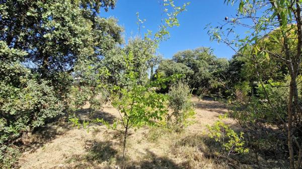 Terreno en avenida De Roma, 70