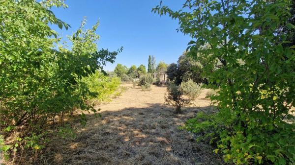 Terreno en avenida De Roma, 70