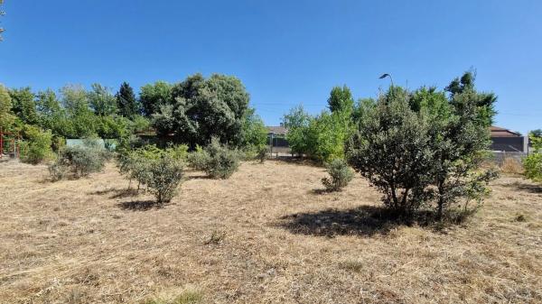 Terreno en avenida De Roma, 70